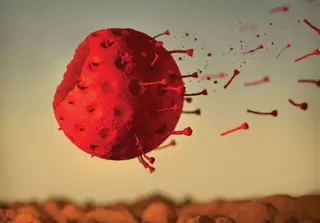 How the COVID-19 Pandemic in USA Could End?