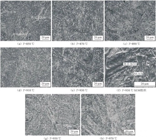 Microstructure of impacted specimens heated at different normalizing temperatures and tempered at 300°C