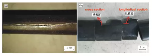 Macroscopic morphology and sampling positions of the sample