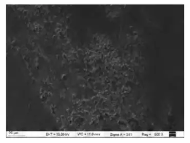 The electron microscope scanning morphology of the sintered material remaining