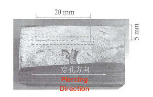 Macroscopic morphology of the defective 110S casing sample