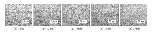 Microstructure of S30432 steel pipe after solution treatment at 1120°C for various holding times