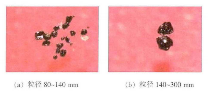 Morphology of electrolytically extracted inclusions from the 110S casing billet (optical microscope)