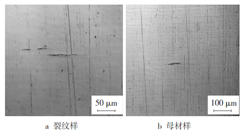 Observation of inclusions in crack and base material samples