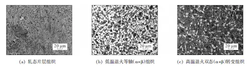 Microstructure of hot-rolled titanium alloy seamless pipe