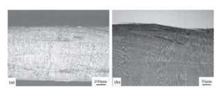 Microstructure of the cladding layer at (a) 100× and (b) 200× magnification