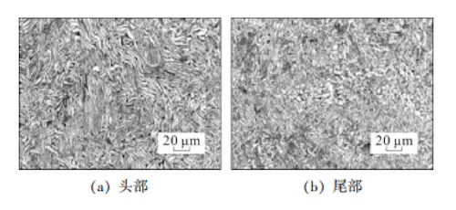 Microstructure morphology of hot-rolled titanium alloy seamless tube