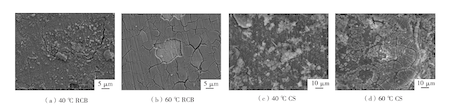 Microscopic Morphologies of Corrosion Products Formed on MCR Pipes and Conventional Carbon Steel Pipes under Different Temperatures and SRB/CO₂ Conditions Microscopic Morphologies of Corrosion Products Formed on MCR Pipes and Conventional Carbon Steel Pipes under Different Temperatures and SRB/CO₂ Conditions