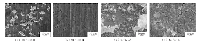 Morphologies of Corrosion Products on MCR Pipes and Conventional Carbon Steel Pipes under Single-SRB Conditions at Different Temperatures Morphologies of Corrosion Products on MCR Pipes and Conventional Carbon Steel Pipes under Single-SRB Conditions at Different Temperatures
