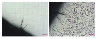 Metallographic structure of the uncorroded inner wall of the end face and its vicinity