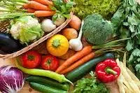 Raw materials of western food: vegetables
