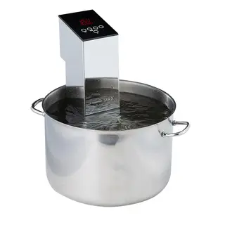 1100W Commercial Sous Vide Circulator