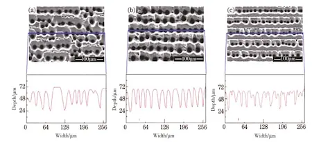 Microscopic morphology of laser scanned samples under different scanning spacings