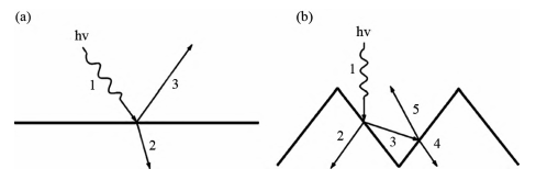 The influence of surface texture on incident light absorption The influence of surface texture on incident light absorption