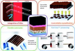 Applications of the Conductive Carbon Paste to the Counter Electrode Layer