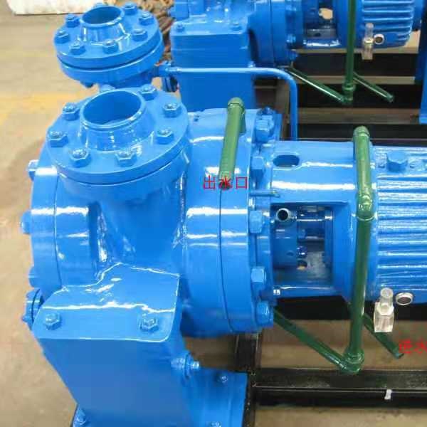 AY High-Temperature Centrifugal Oil Pump, Double-stage Double-suction Both Ends Supported