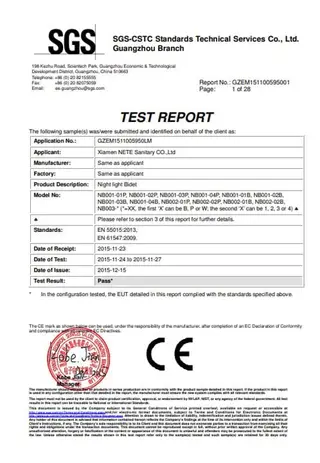 SGS CE Report