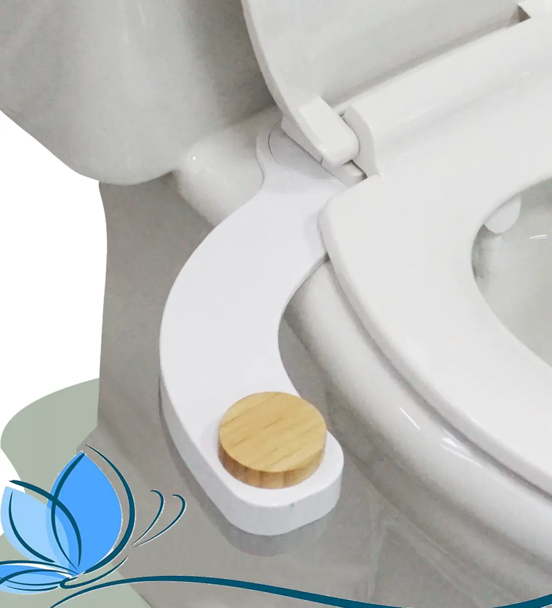 Detachable bidet attachment for toilet