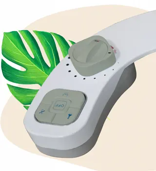 Bidet attachment with cold and hot water