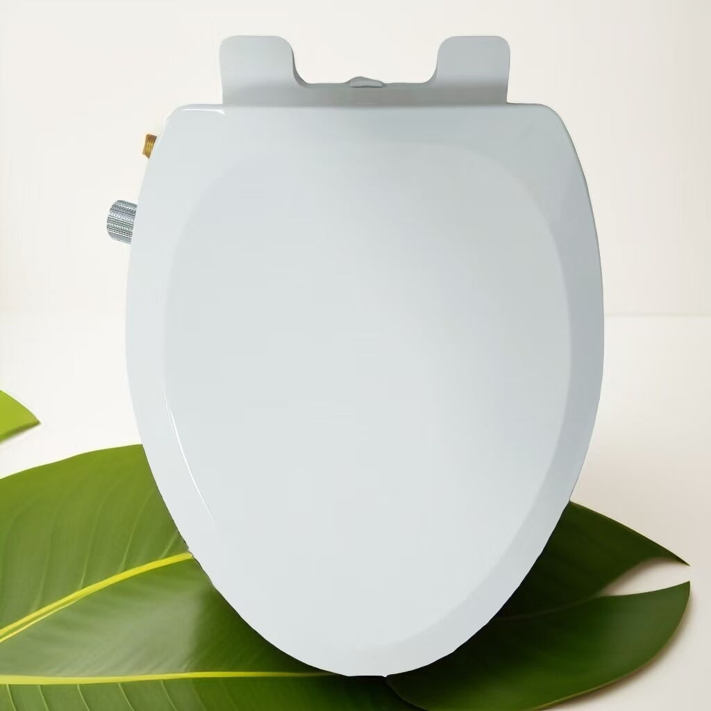 with one button quick release function toilet lid