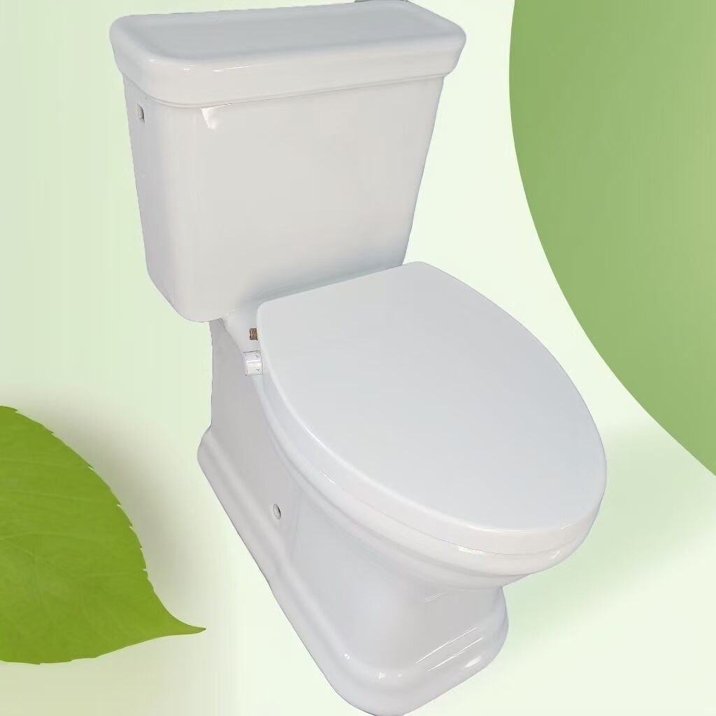 Non Electric PP Toilet Seat Cover With Bidet