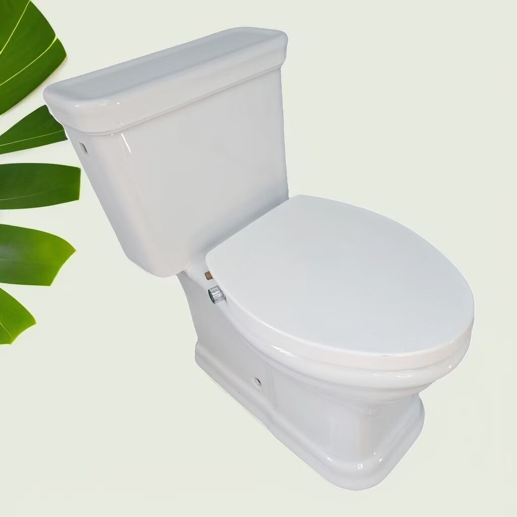 Quick Release Easy Installation PP Dual Nozzle Toilet Seat