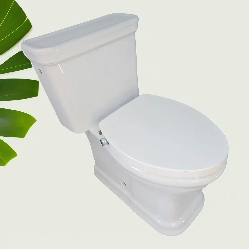 Quick Release Easy Installation PP Dual Nozzle Toilet Seat