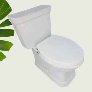 Quick Release Easy Installation PP Dual Nozzle Toilet Seat