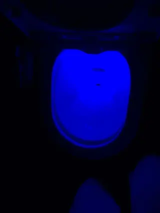 LED Night Light