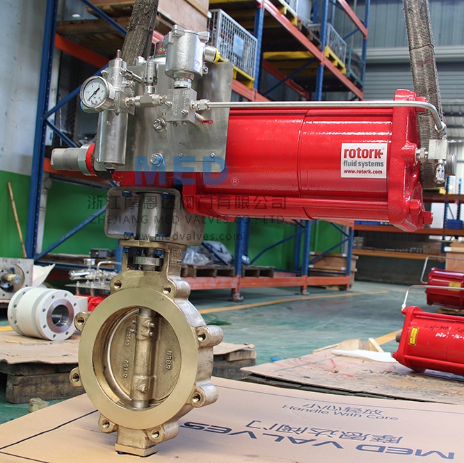 ASTM B148 C95800 Butterfly Valve, 8 Inch, 150 LB, API 609