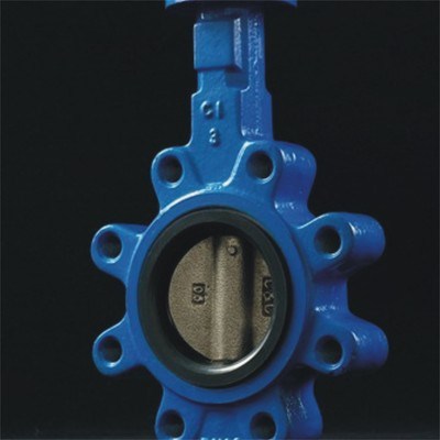 Concentric Lug Butterfly Valve, API 609, 2-48 Inch, 150 LB