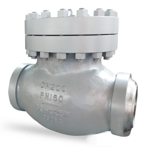 GS-C25N Swing Check Valve, DN200, PN160, BW, DIN 3356