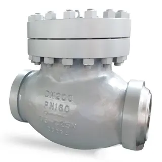 GS-C25N Swing Check Valve, DN200, PN160, BW, DIN 3356