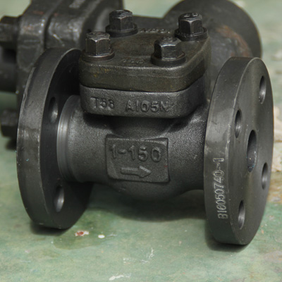 Forged Steel Check Valve, 1/2-2 Inch, 150-1500 LB