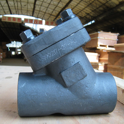 Forged Y Check Valve, 1/2-2 Inch, 150-1500 LB