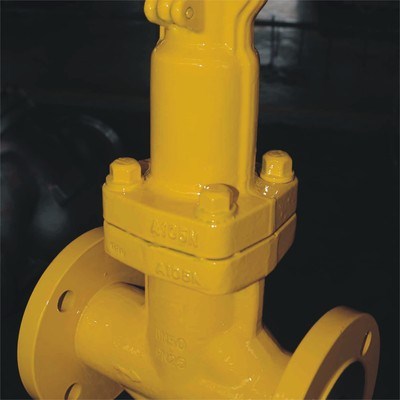 API 602 Bellow Seal Globe Valve, 1/2-2 Inch, CL150-CL900