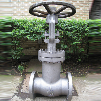 Bellow Sealed Globe Valve, 1/2-16 Inch, 150-900 LB