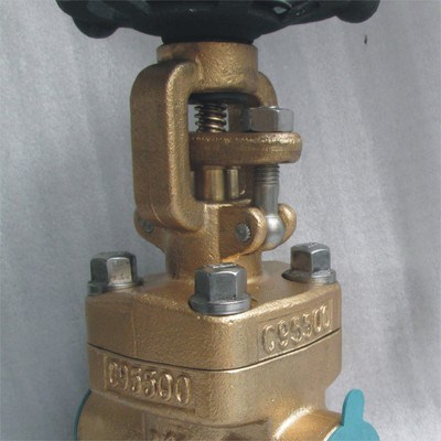 Bronze Globe Valve, 1/2-2 Inch, 150-800 LB, ASTM B61, B62