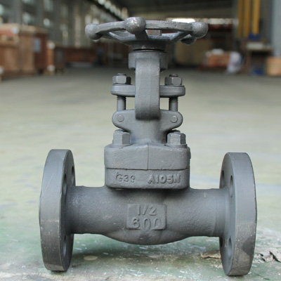 Forged Steel Globe Valve, 1/2-2 Inch, 150-2500 LB, API 602