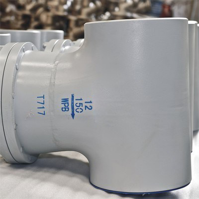 Cast T Strainer