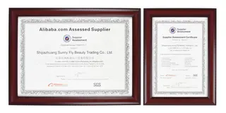 https://img.jeawincdn.com/resource/upfiles/165/images/certificates/SGS.jpg