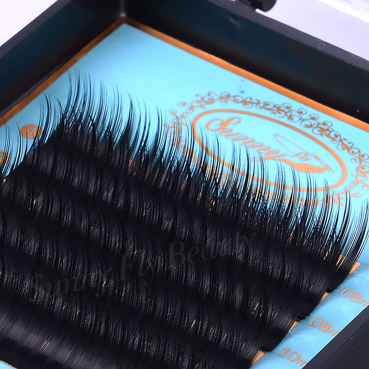 Camellia Eyelash Extension, Wispy PBT Fiber, Pure Handmade
