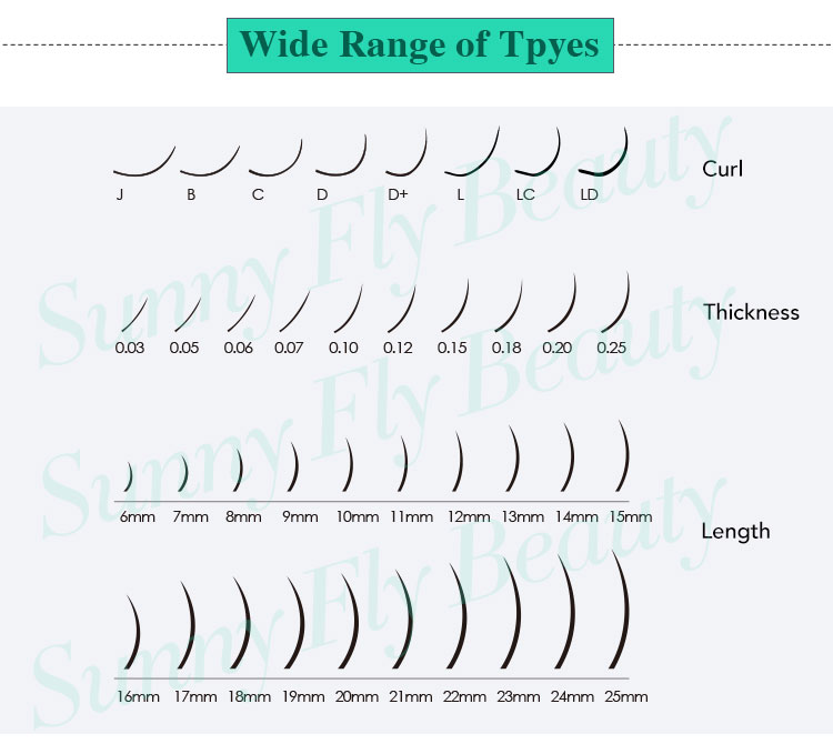 Wide Range of Types
