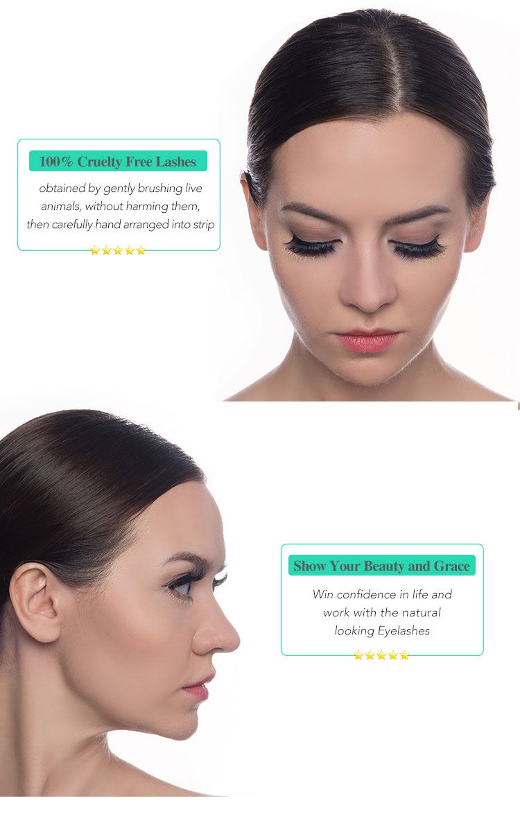 Product Overview