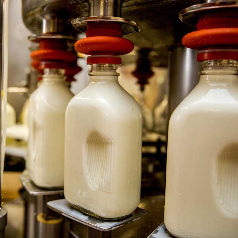 Dairy Products Filling Solutions