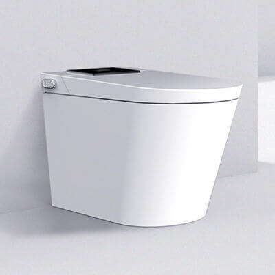Instant Heating Smart Toilet