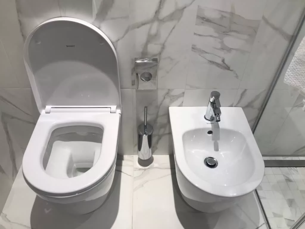 The Toilet and The Bidet