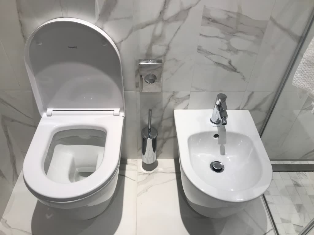 The Toilet and The Bidet