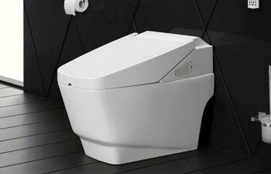 How to Choose a Smart Toilet?