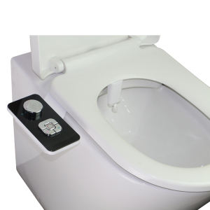 ABS Button Control Dual Nozzles Toilet Bidet
